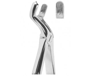 Extracting Forceps English pattern
